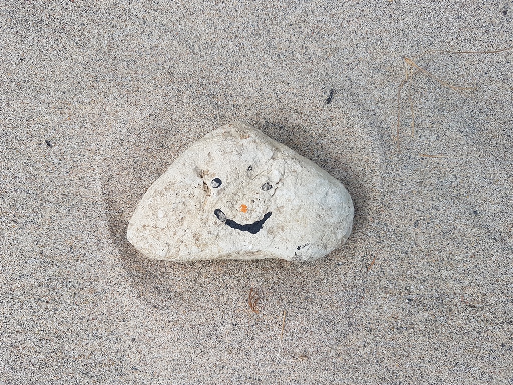 Rocky playing in the sand